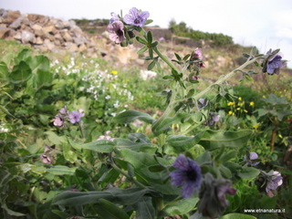 zzena-11-03-2013 09-12-54